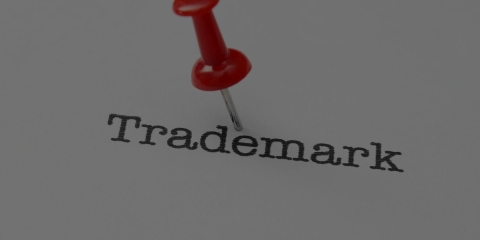 Trademarking a logo – how to and is it worth it?